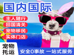 三亚凤凰空运代理国际宠物托运 【国